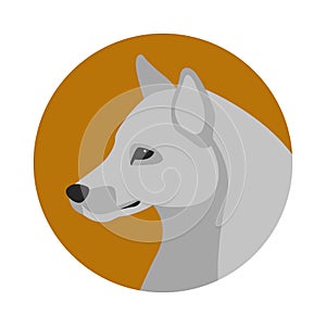 Wolf head vector illustration flat style