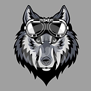 Wolf head wearing a goggle