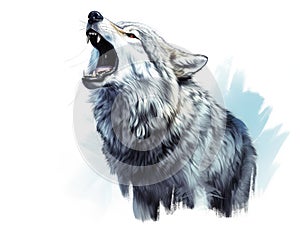 Wolf Howling Illustration Isolated
