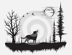 Wolf howling at the moon