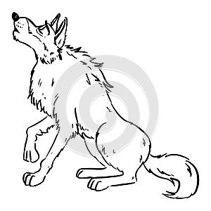 Wolf howling on the moon. Dog or wolf lineart cartoon illustration. Canine in lineart style image. Wild animal in comic style