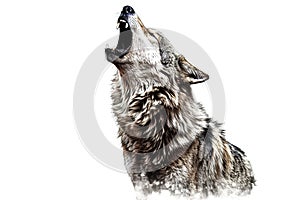 wolf howling at the moon isolated on white background. AI generated