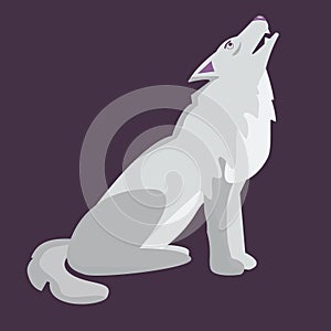 Wolf howling on the moon on purple background Vector illustration for printing, web, etc