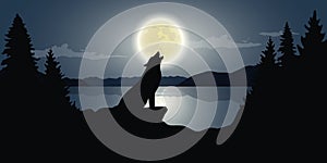 Wolf is howling to the full moon by the lake