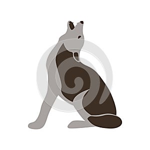 Wolf howling, vector illustration, flat style