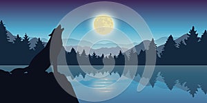 Wolf howls at full moon by the lake nature landscape