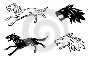 Wolf illustration