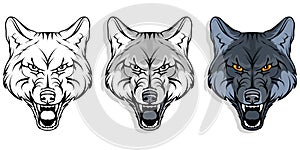Wolf, isolated on white background, colour illustration, suitable as logo or team mascot, dangerous forest predator, wolf`s head,