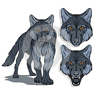 Wolf, isolated on white background, colour illustration, suitable as logo or team mascot, dangerous forest predator, wolf`s head,