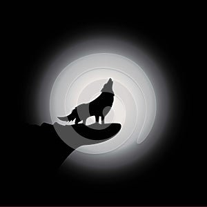 Wolf logo template vector