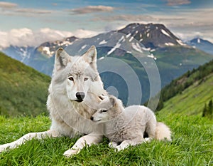 The wolf lying with the lamb. Generated with AI