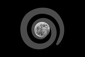 Wolf Moon 11 January 2020