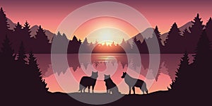 Wolf pack at beautiful purple forest and lake nature landscape at sunrise