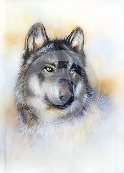 Wolf painting on canvas ,color background on paper