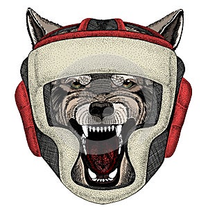 Wolf portrait. Head of wild animal. Boxing helmet.