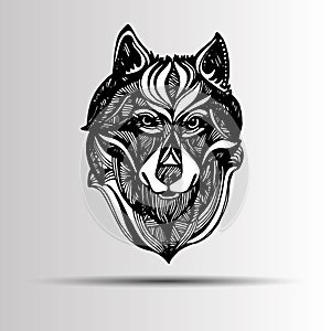 Wolf portrait. Vector abstract polygonal geometric illustration.