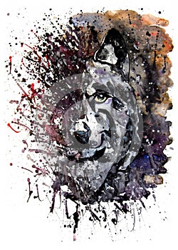 Wolf predator watercolor painting drawing