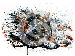 Wolf predator watercolor painting drawing