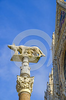 She-wolf with Romulus and Remus in front of the Duomo of Siena