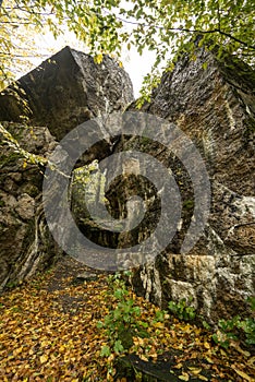 Wolf`s Lair, Adolf Hitler`s Bunker, Poland. First Eastern Front military headquarters, World War II. Complex blown up, abandoned