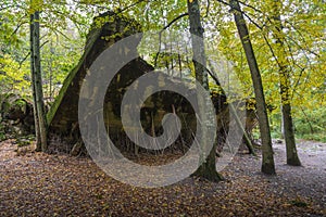 Wolf`s Lair, Adolf Hitler`s Bunker, Poland. First Eastern Front military headquarters, World War II. Complex blown up, abandoned