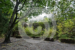 Wolf`s Lair, Adolf Hitler`s Bunker, Poland. First Eastern Front military headquarters, World War II. Complex blown up, abandoned