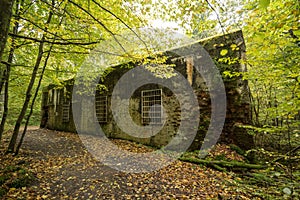 Wolf`s Lair, Adolf Hitler`s Bunker, Poland. First Eastern Front military headquarters, World War II. Complex blown up, abandoned