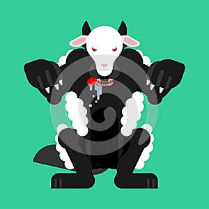 Wolf in sheep`s clothing isolated. vector illustration