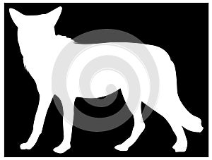 Wolf silhouette - grey/gray wolf or timber wolf