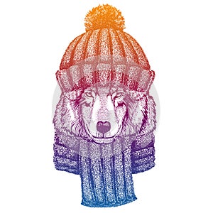 Wolf. Ski, skier animal wearing woolen knitted hat. Christmas time. Cartoon character for little children. Kids print