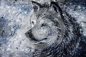 Wolf in snowy background