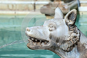 Wolf Spouting Water Fonte Gaia Siena