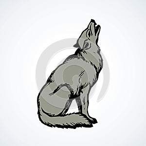 Wolf. Vector drawing