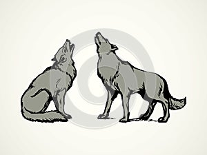 Wolf. Vector drawing