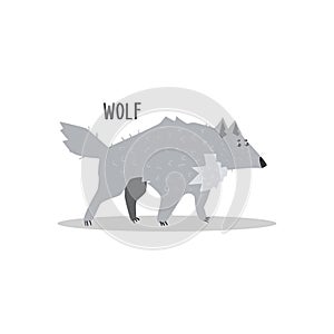 Wolf Vector Illustration