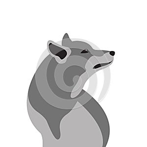 Wolf vector illustration style Flat