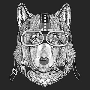 Wolf Vintage motorcycle hemlet. Retro style illustration with animal biker for children, kids clothing, t-shirts