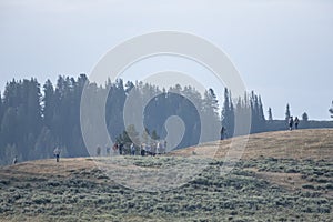 Wolf Watchers in Yellowstone photo