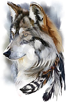 Vlk akvarel malování 