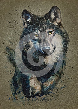 Wolf watercolor painting predator animals Wild and Free