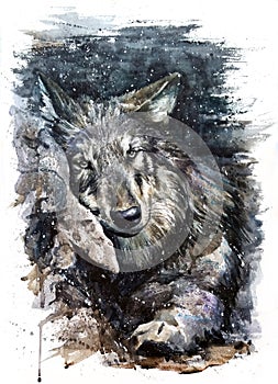 Wolf watercolor painting predator animals Wild and Free