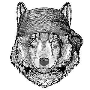 Wolf Wild animal wearing pirate bandana. Brave sailor. Hand drawn image for tattoo, emblem, badge, logo, patch