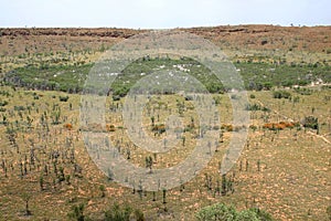 Wolfe Creek Meteorite Crater. Australia