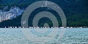 Laser dinghy boats sailing in windy conditions at lake Wolfgang, Austria - panoramic view