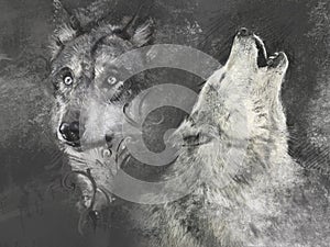 Wolfs, handmade illustration on grey background
