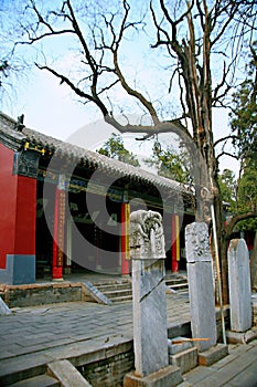 Wollongang, Nanyang