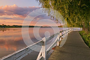 Wolsztyn, POLAND Picturesque wooden walkway along the lake shore at sunset.