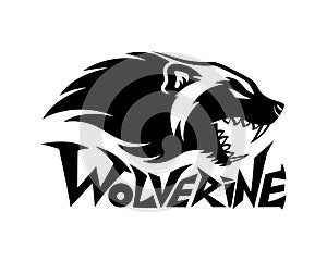Wolverine animal icon.