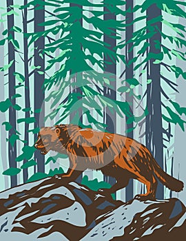 Wolverine in Yellowstone National Park Wyoming WPA Poster Art