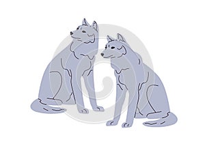 Wolves couple. Wild forest animals pair. Two canis lupus predators. Grey carnivore, beasts. European carnivorous mammal